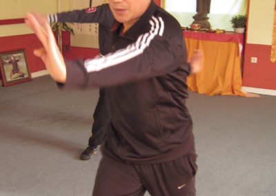 Kung-Fu-Training-14