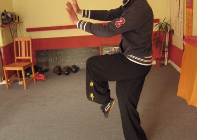 Kung-Fu-Training-17